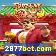 2877bet.com