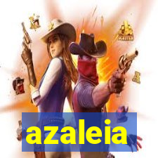 azaleia-br.com