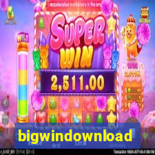 bigwindownload