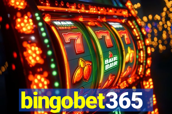 bingobet365