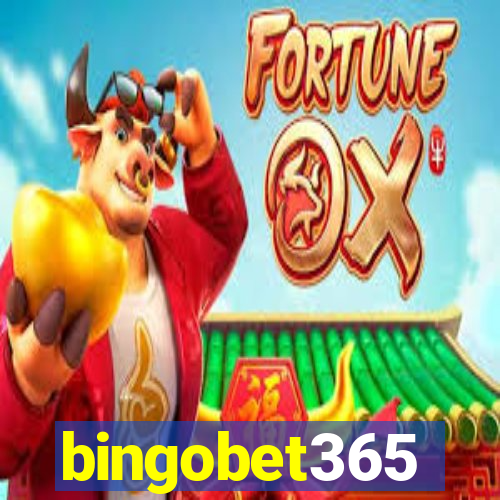 bingobet365