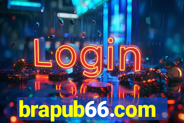 brapub66.com