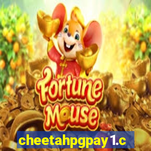 cheetahpgpay1.com