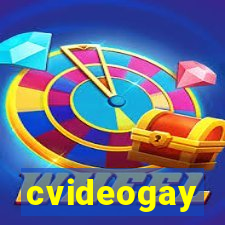 cvideogay