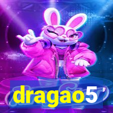 dragao5