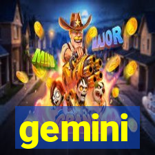 gemini-pp.com