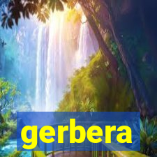 gerbera-dh.com