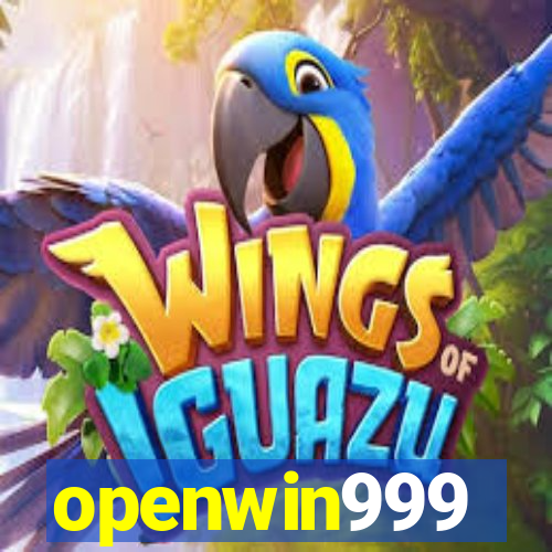 openwin999