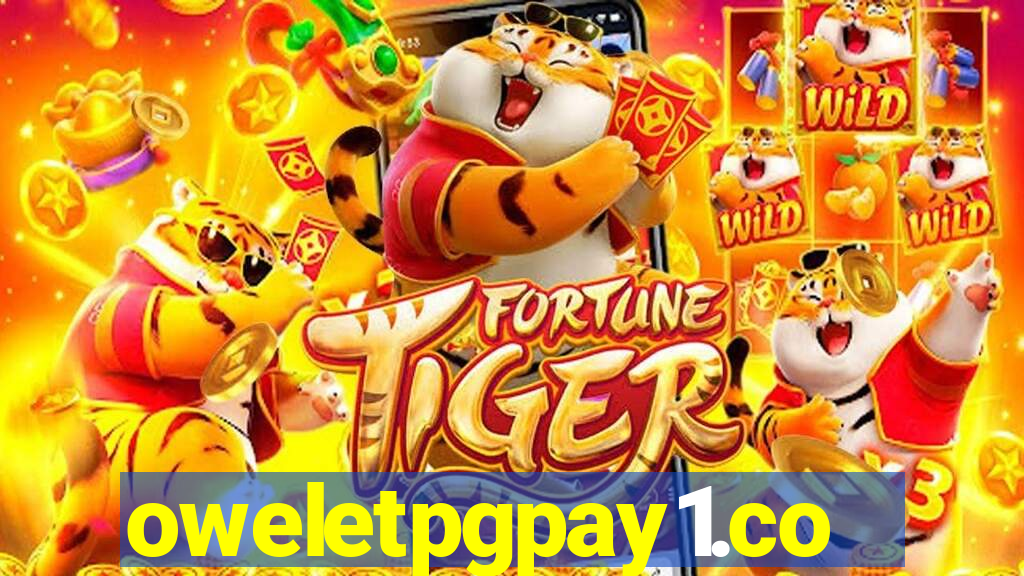 oweletpgpay1.com