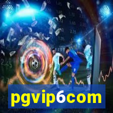 pgvip6com