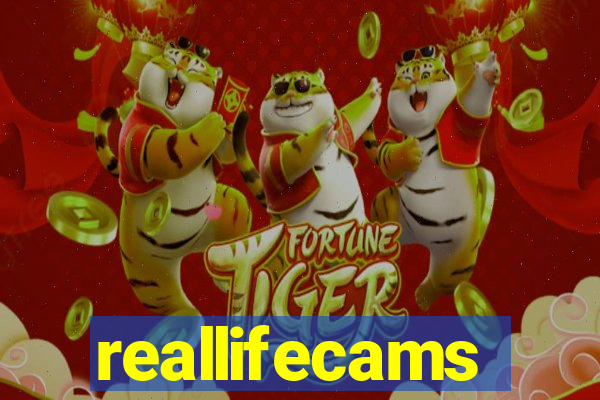 reallifecams