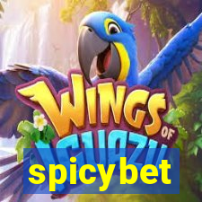 spicybet-1.com