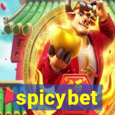 spicybet-2.com