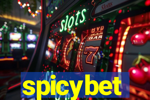 spicybet-2.com