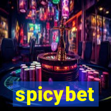 spicybet-3.com