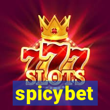 spicybet-5.com