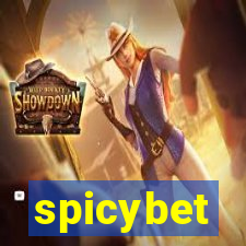 spicybet-5.com