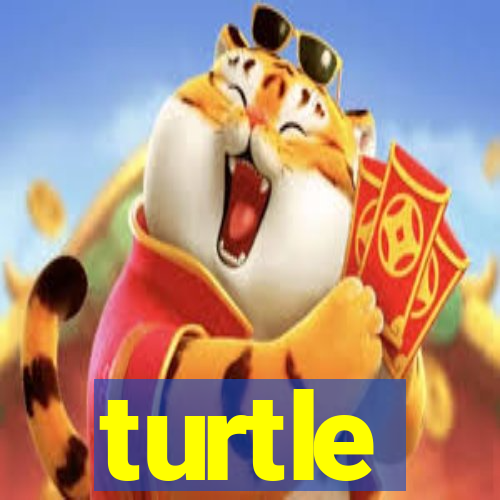 turtle-ty.com