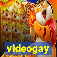 videogay