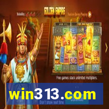 win313.com